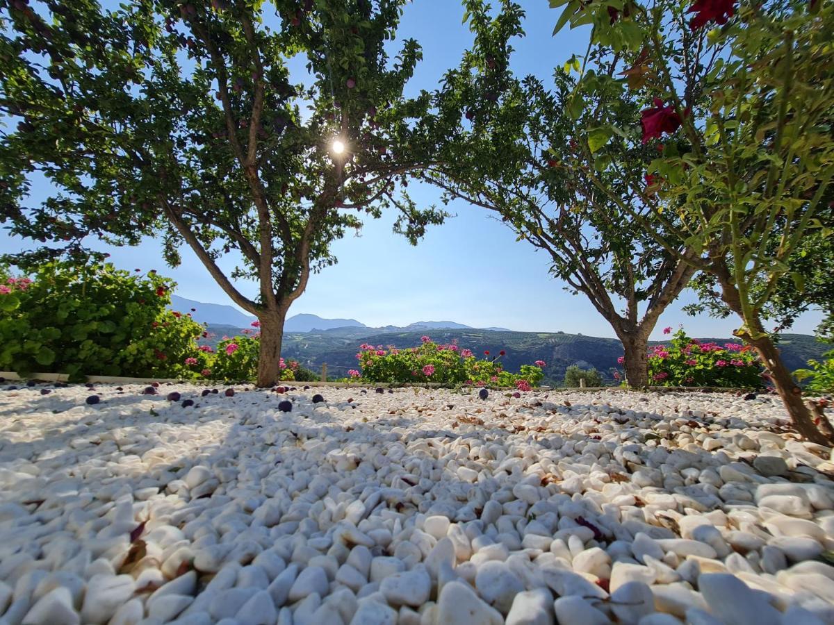 Ornament: Infinite Nature Villa