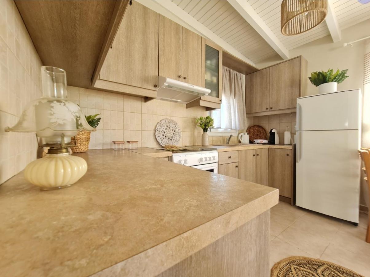 Villa Ornament: Infinite Nature *