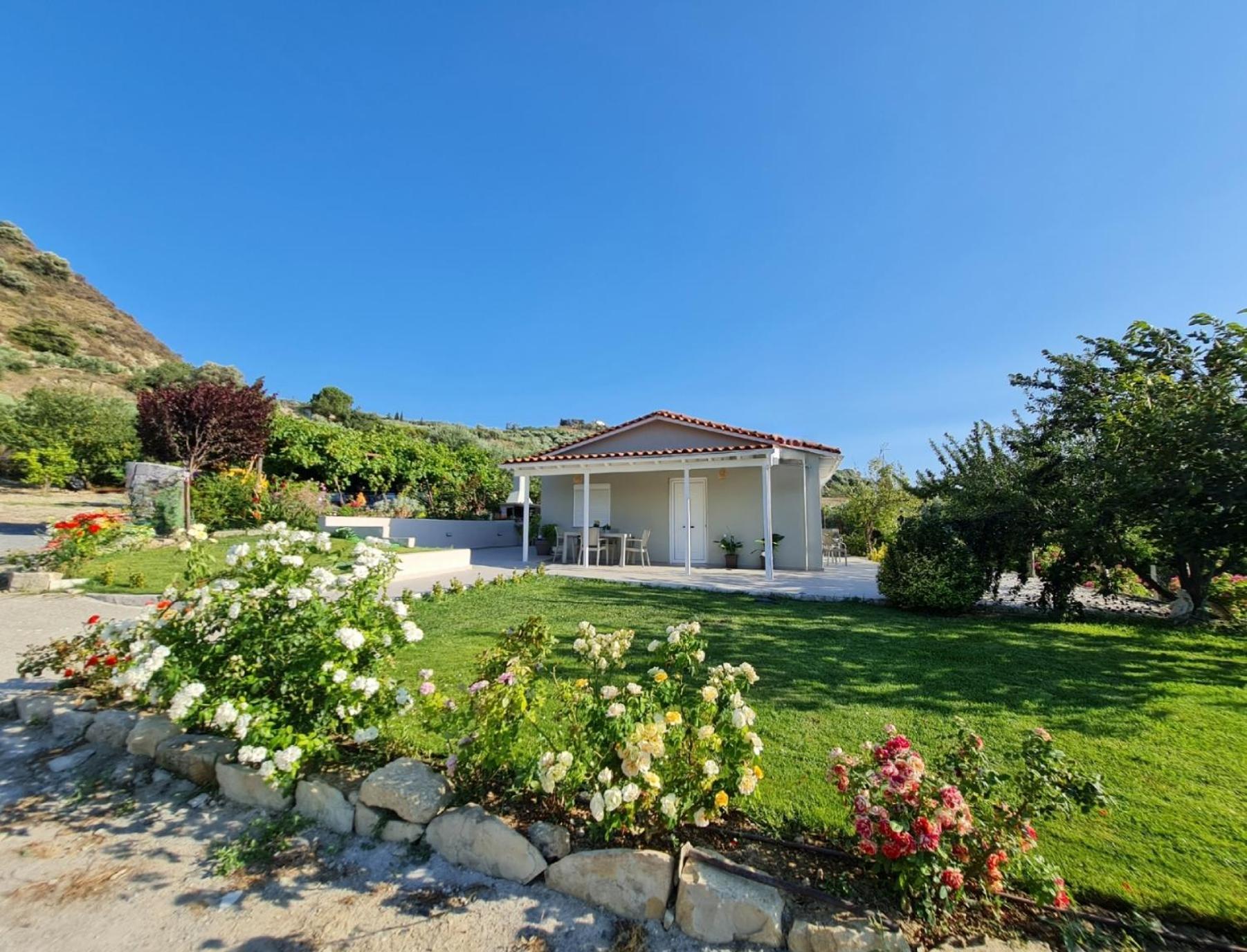 Villa Ornament: Infinite Nature