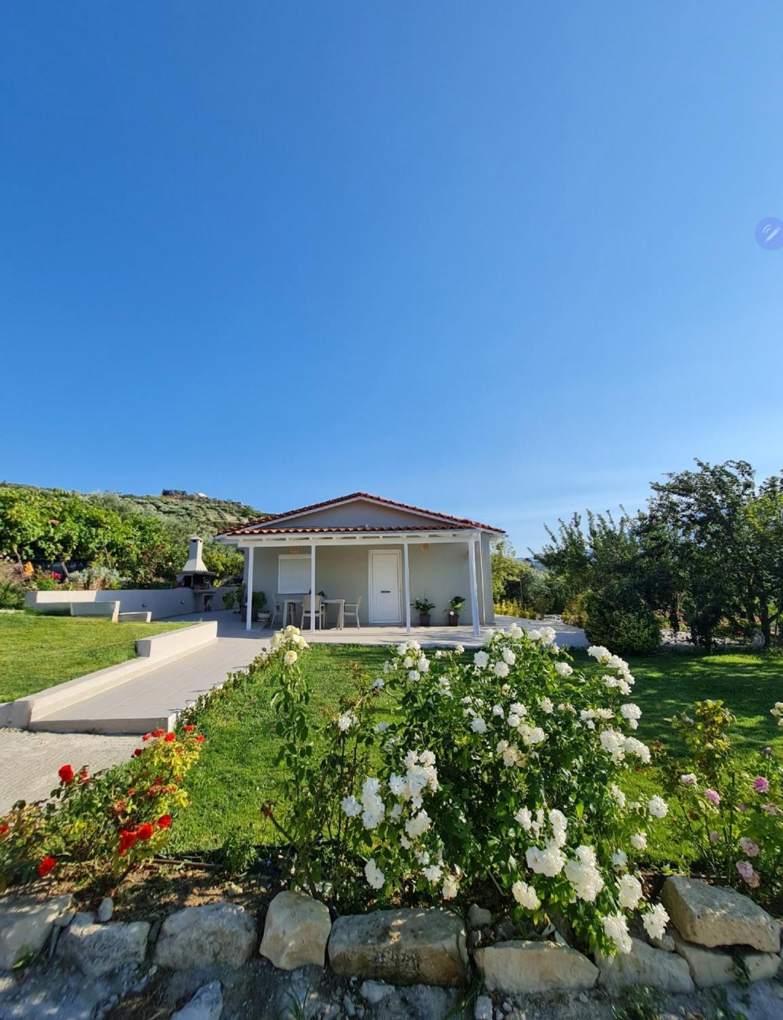 Ornament: Infinite Nature Villa
