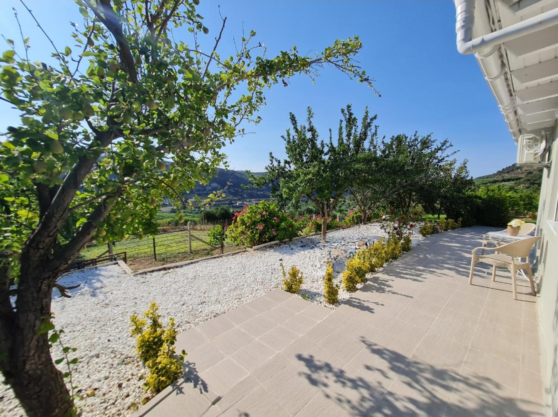 Villa Ornament: Infinite Nature