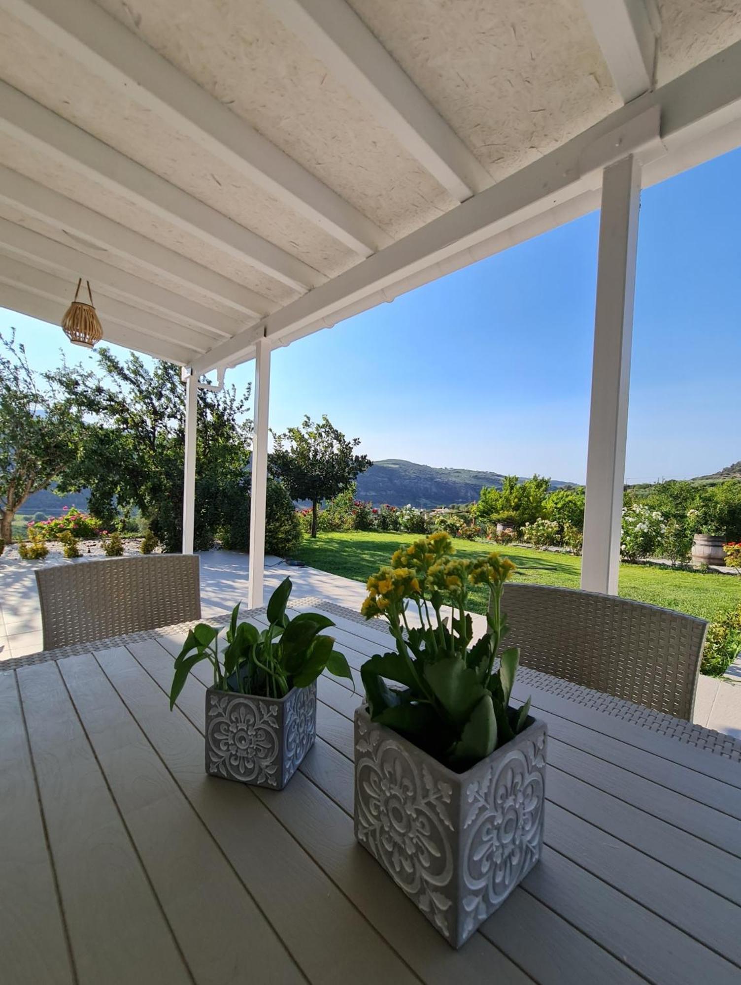 Ornament: Infinite Nature Villa