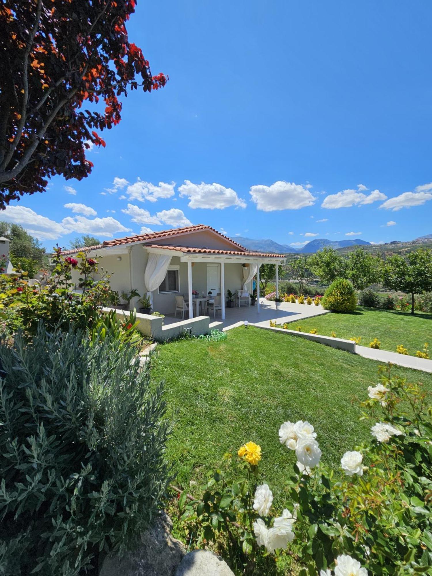 Villa Ornament: Infinite Nature